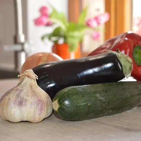 Belle Maison Catalan, Renovee Entierement 2023 Σπίτι διακοπών *