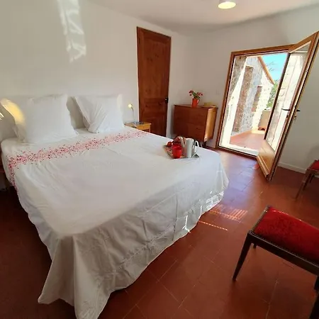 Σπίτι διακοπών Belle Maison Catalan, Renovee Entierement 2023 *